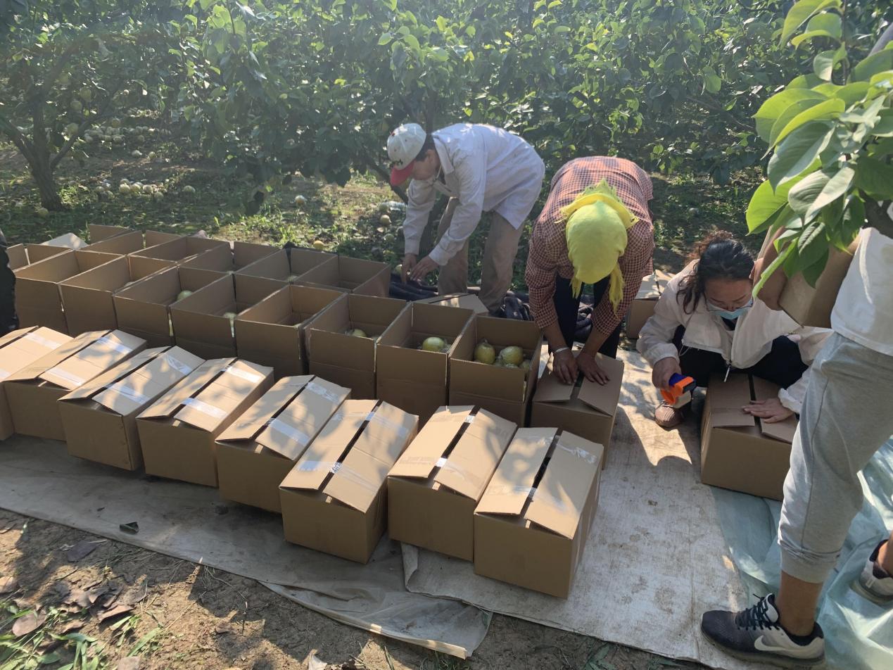 c8a00a67aa8c42efa5b2972686f3b656