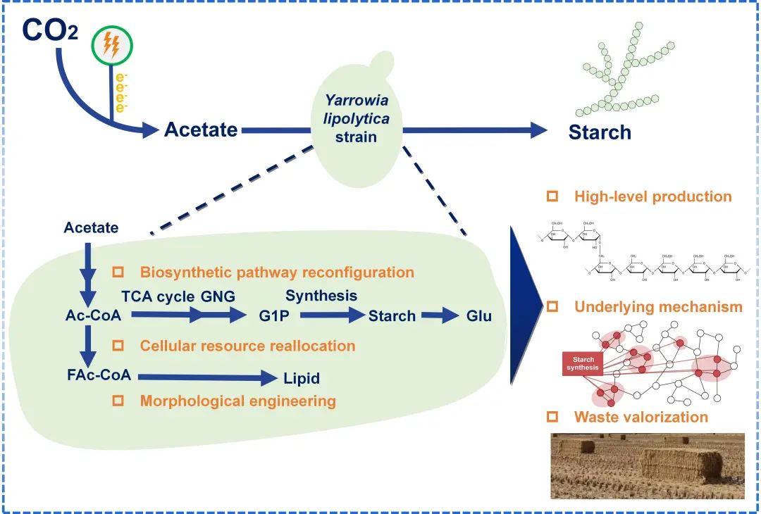 3307cca7d8fa43a49bd7c405921ac973
