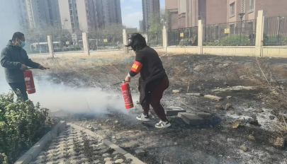 1744547152765091425.png 1744547152765091425.png