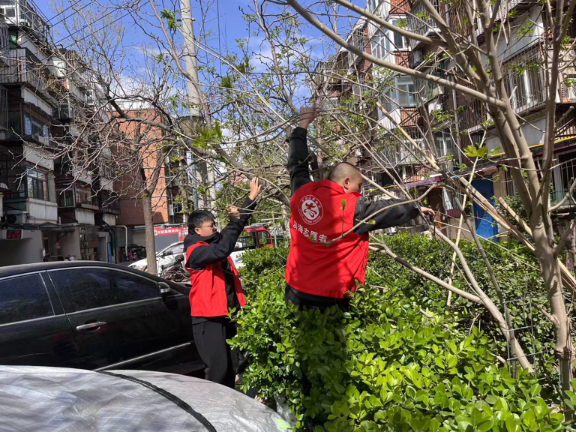 1744547035475038981.png 1744547035475038981.png