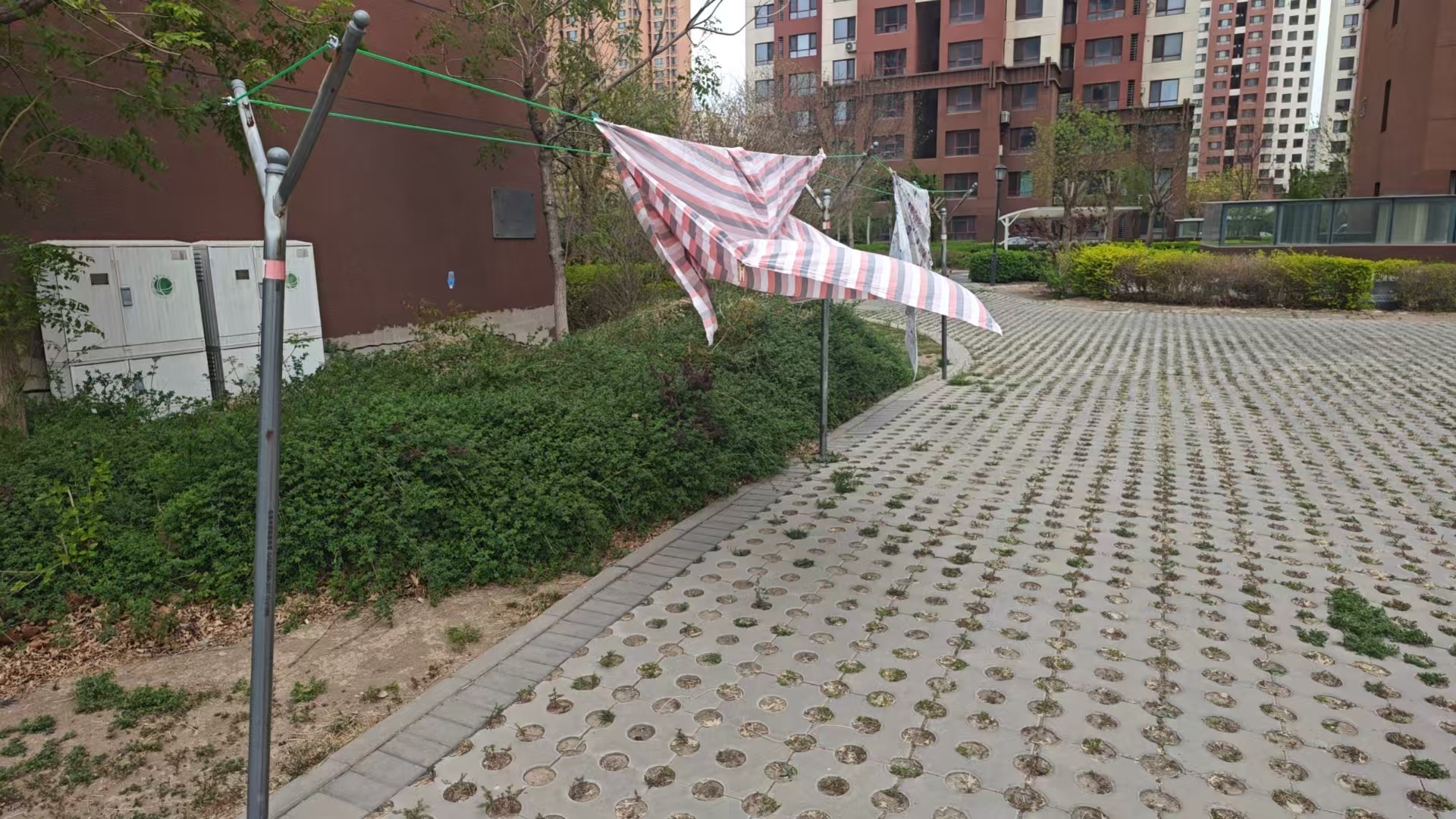 1744943378690020729.jpg 0d377104b21cb24f0decc51e524b8d4.jpg