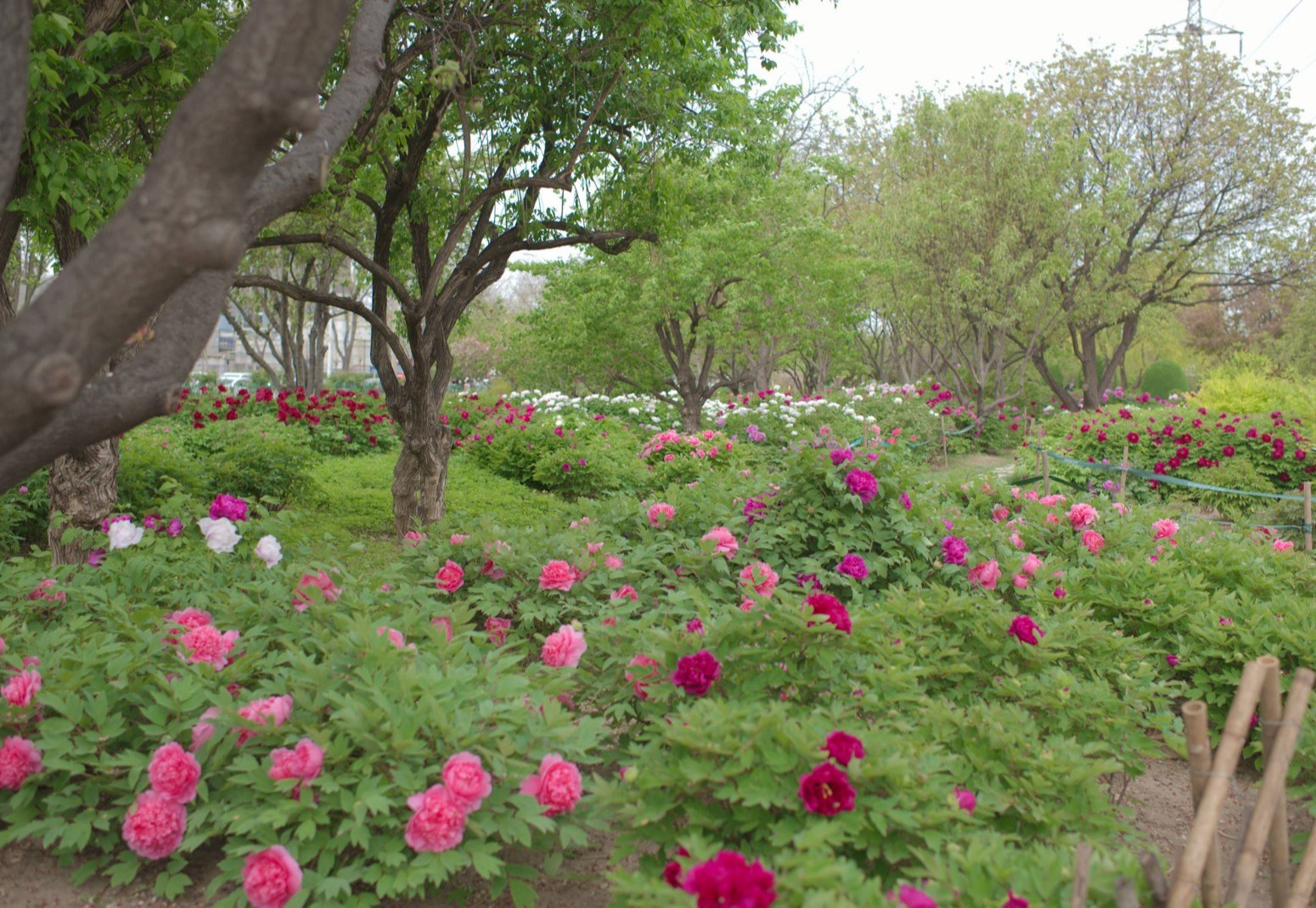 微信图片_20250418131940