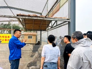 904c61c501d749349c44ab1c2cb8cf60