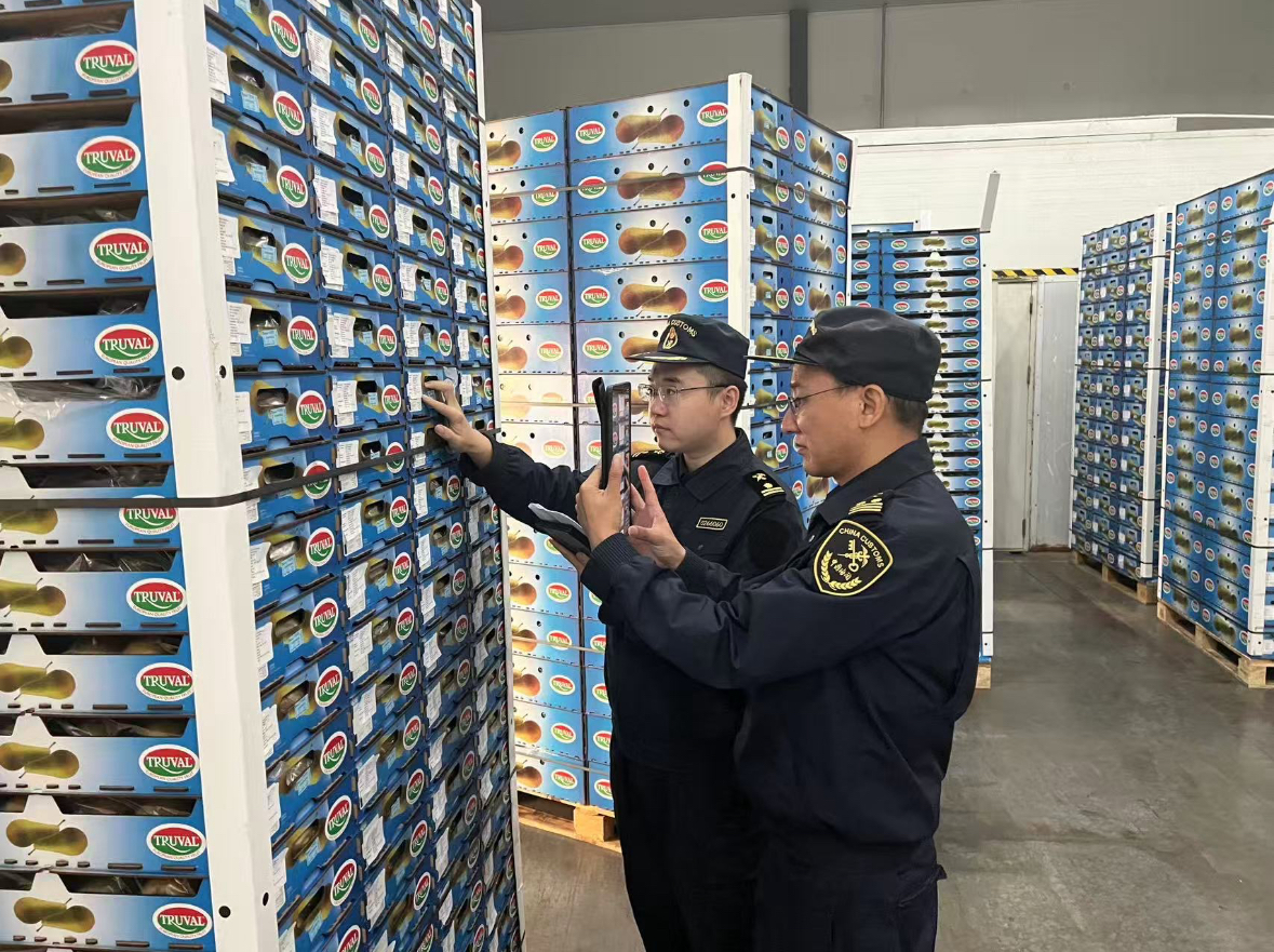 ba677aebed824785ab4479a5554973fb