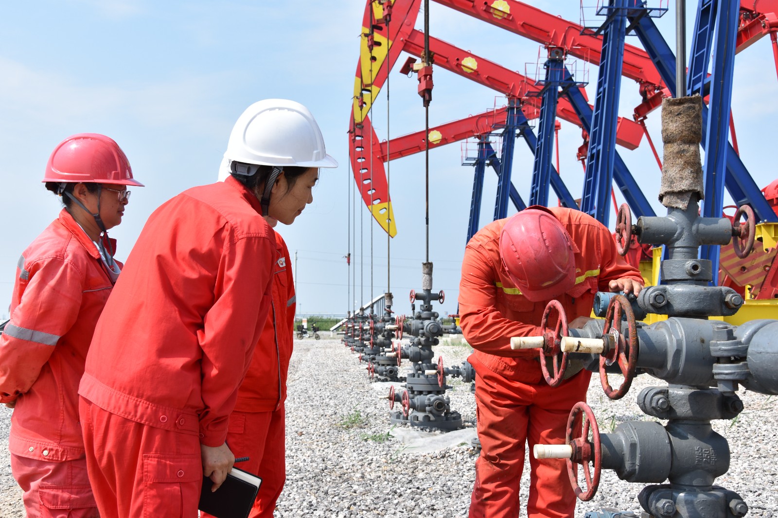 1753666894605079012.jpg 1753666894605079012.jpg