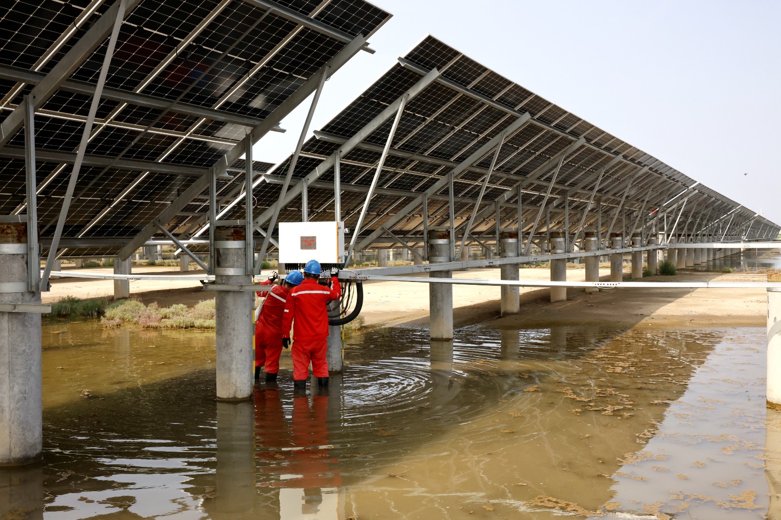 1754622728389051972.jpg 1754622728389051972.jpg