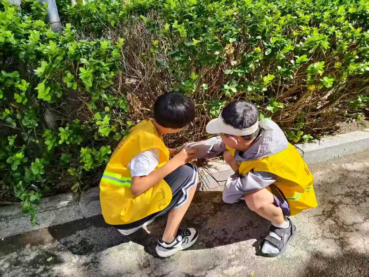 微信图片_2025-08-22_152943_720