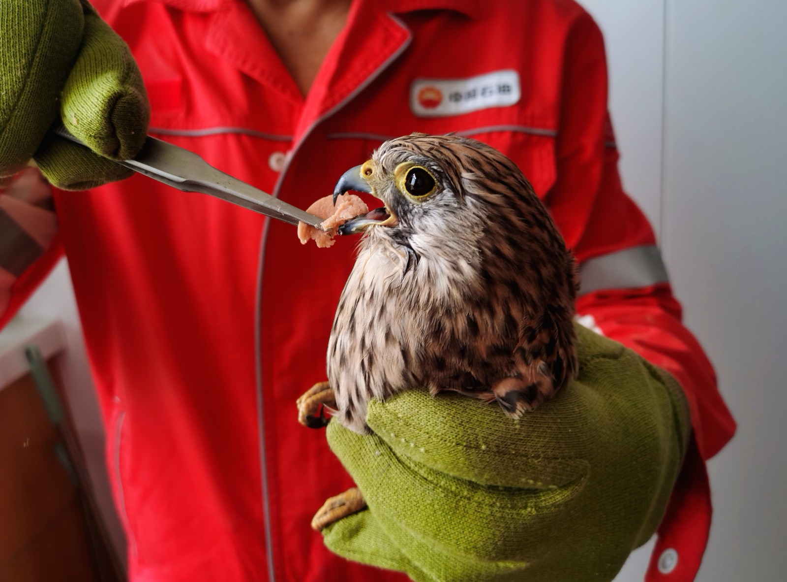 1757210119318079642.jpg 1757210119318079642.jpg