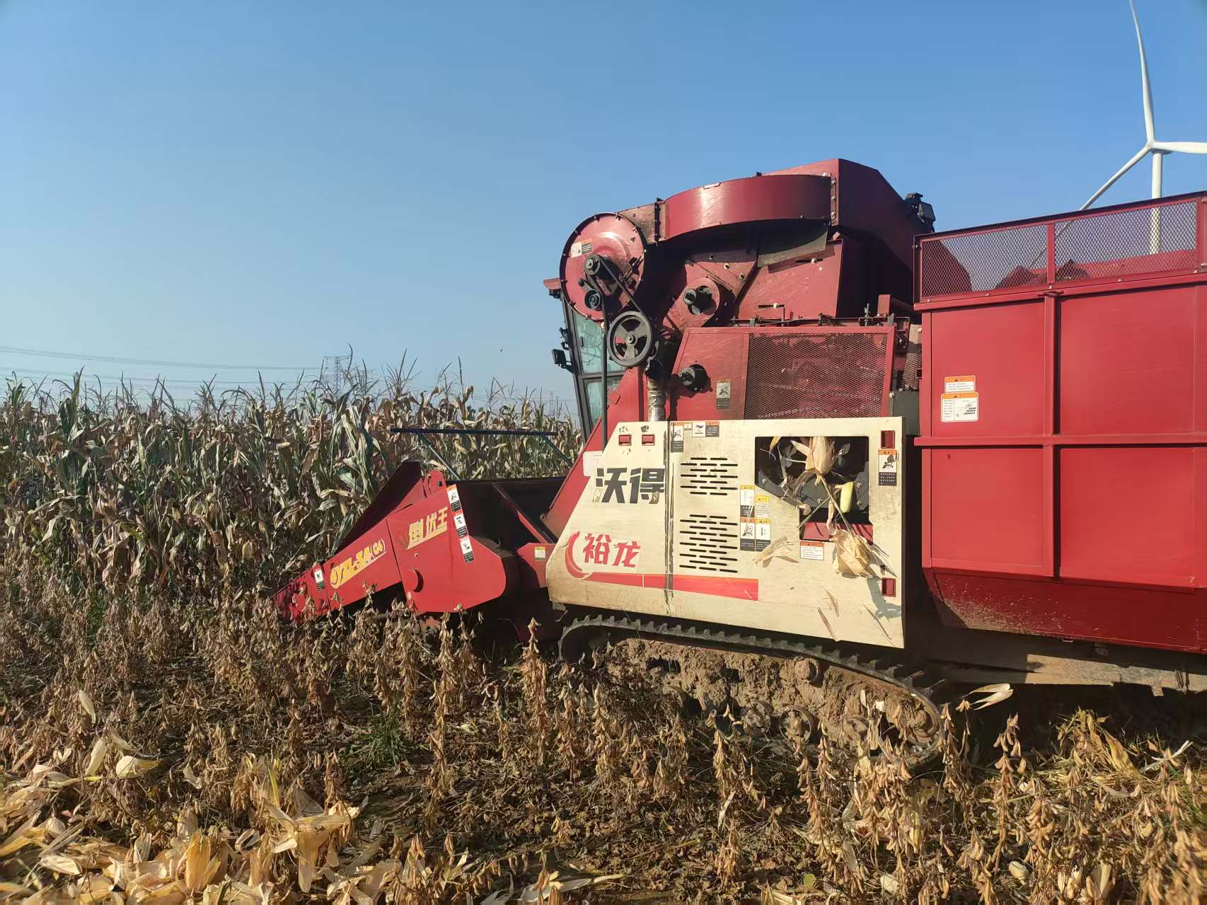 1760084678657062375.jpg 1760084678657062375.jpg