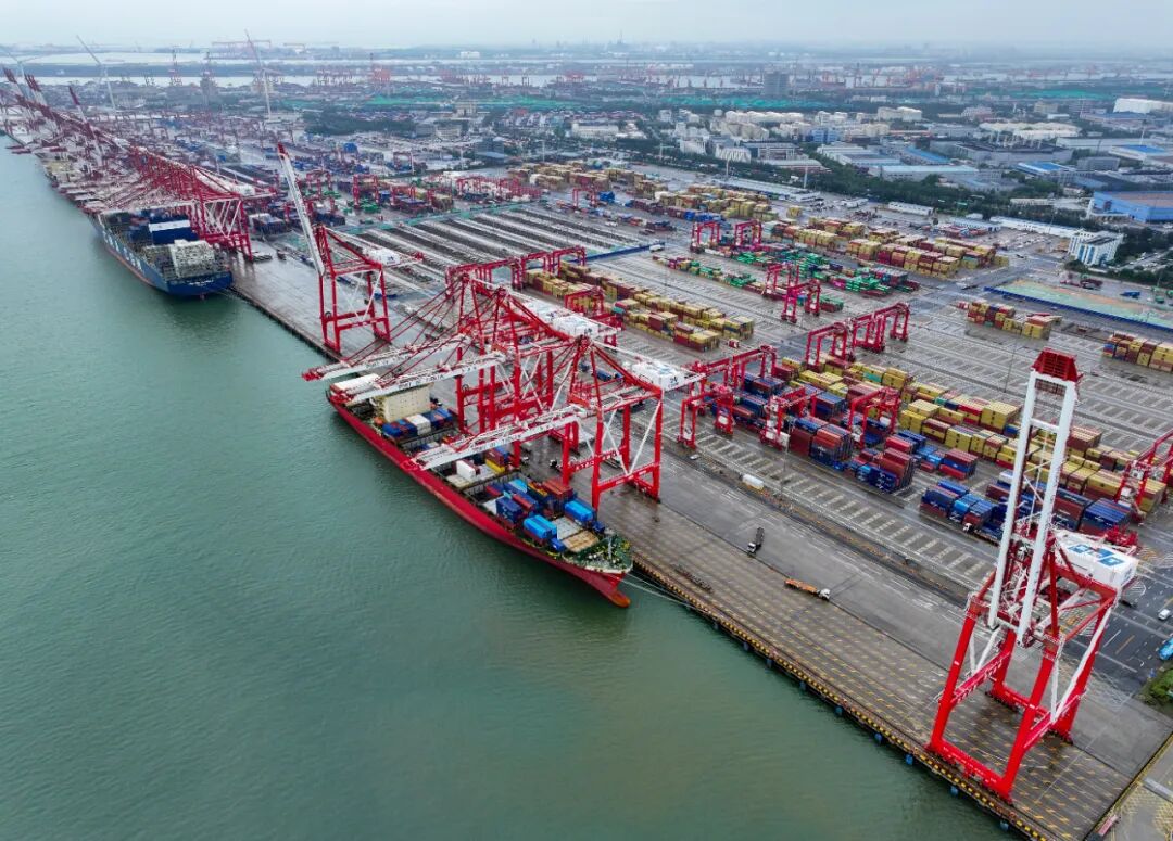 1760097386035069154.jpg 1760097386035069154.jpg