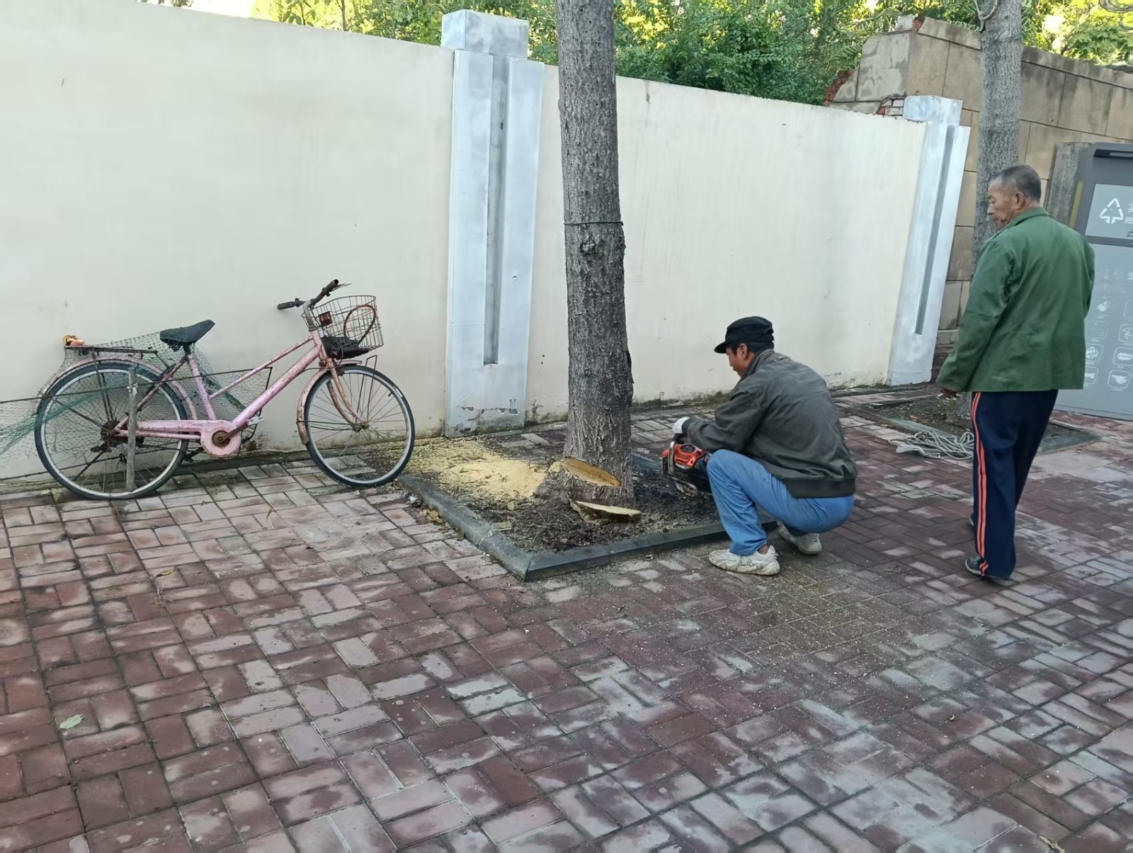 1760491835695012769.jpg 1760491835695012769.jpg