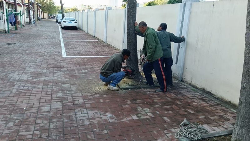 1760491866094014714.jpg 1760491866094014714.jpg