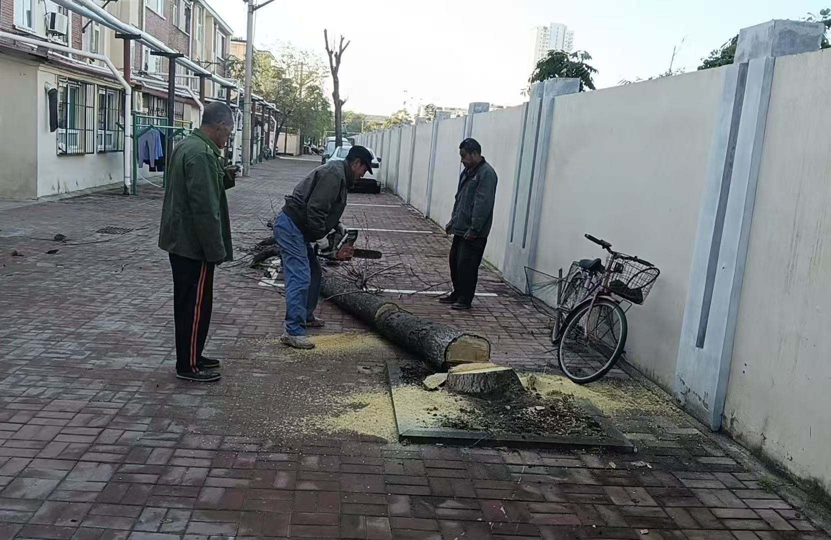 1760491931928053594.jpg 1760491931928053594.jpg