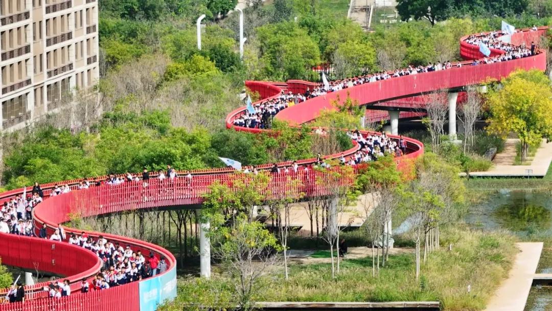 1761200245668019792.jpg 1761200245668019792.jpg