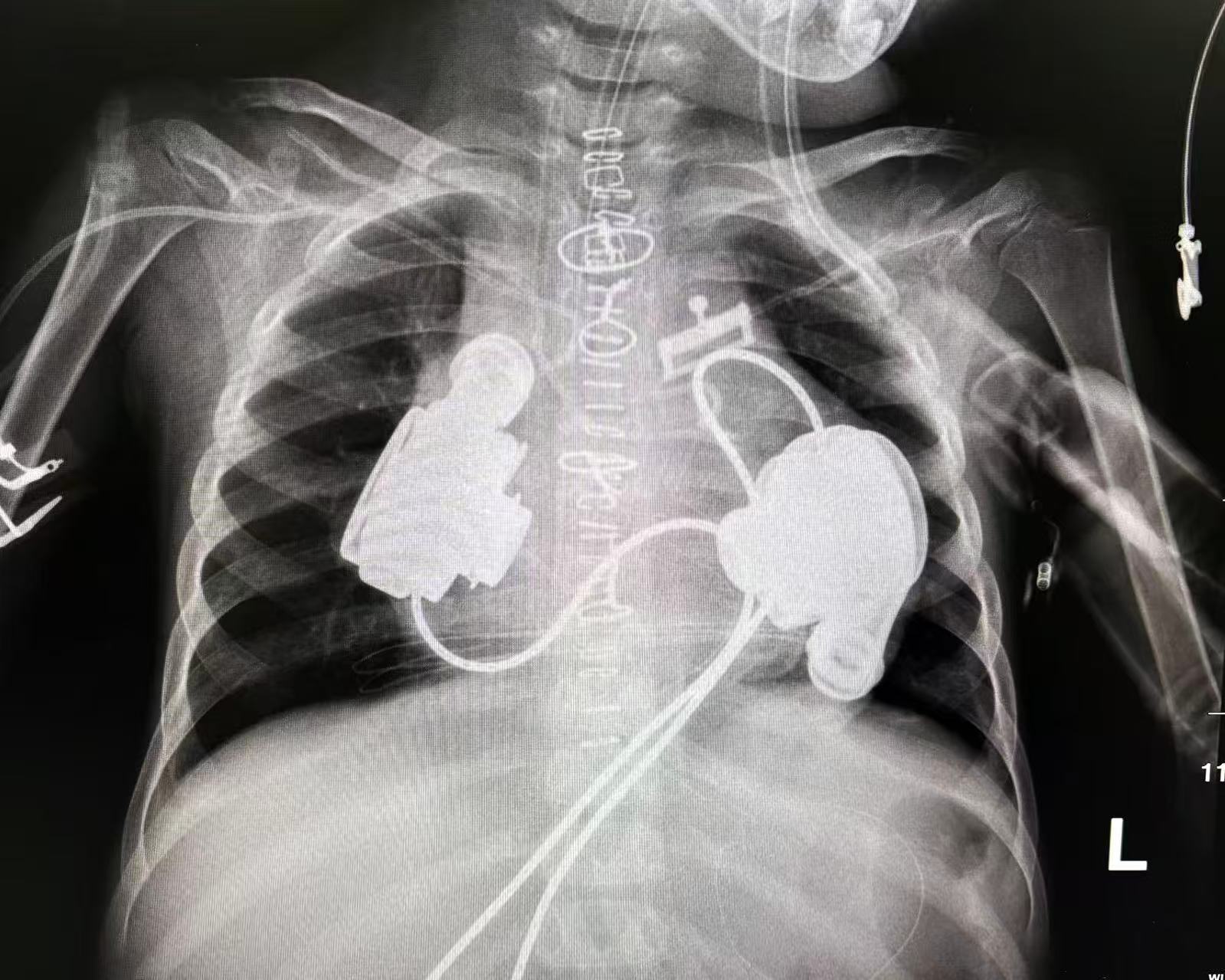 1765365484550097033.jpg 1765365484550097033.jpg