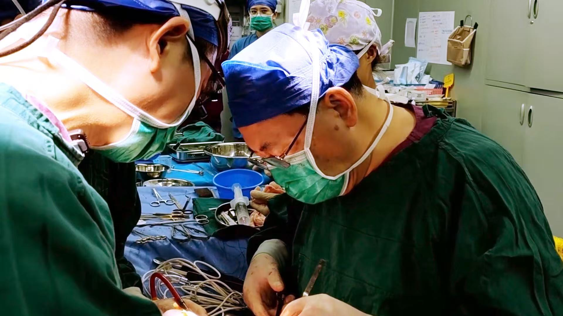 1765365321562060241.jpg 1765365321562060241.jpg