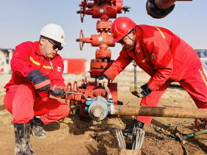 1765935493032022670.png 1765935493032022670.png